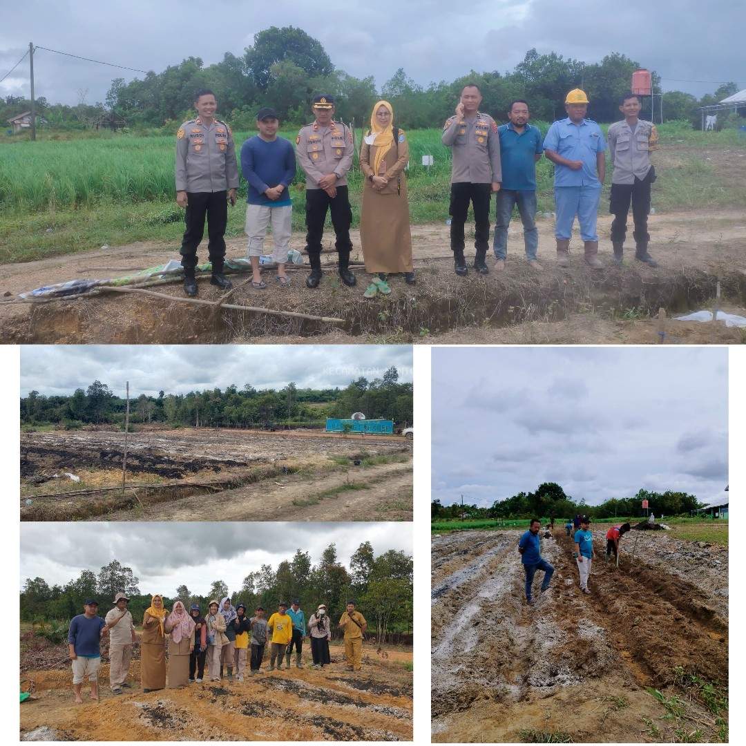 Persiapan Lahan Kegiatan Penanaman jagung serentak 1 Juta Hektar 